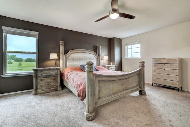 104 Black Alder St, Georgetown, TX 78626 - photo 22
