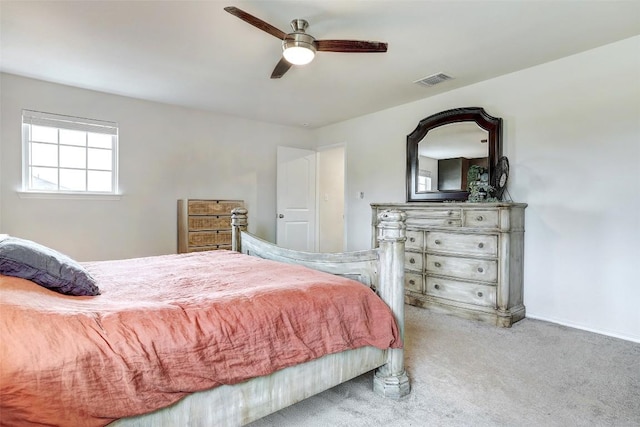 104 Black Alder St, Georgetown, TX 78626 - photo 23