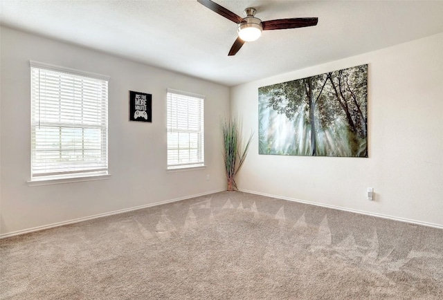 104 Black Alder St, Georgetown, TX 78626 - photo 31
