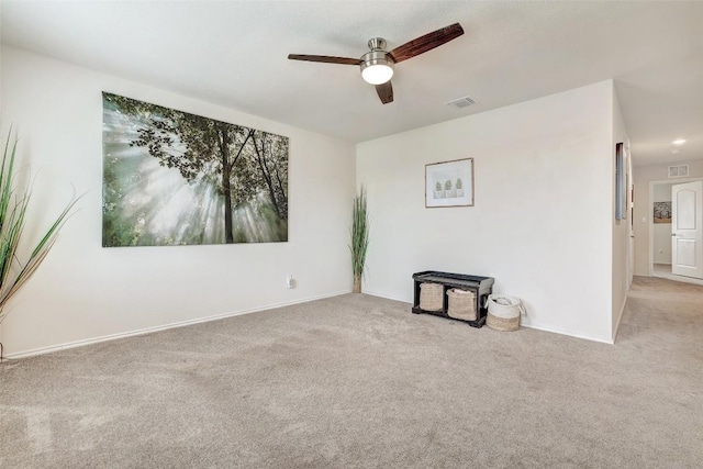 104 Black Alder St, Georgetown, TX 78626 - photo 32