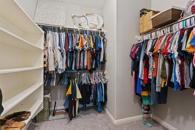 1017 Sussex Way, Round Rock, TX 78665 - spacious closet featuring carpet floors