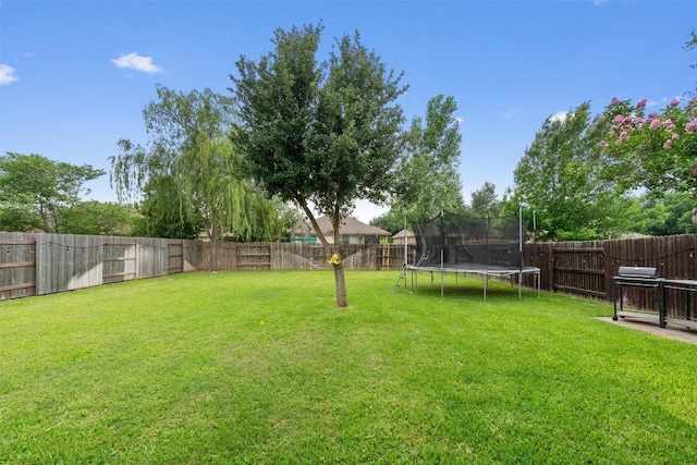 1017 Sussex Way, Round Rock, TX 78665 - view of yard with a trampoline