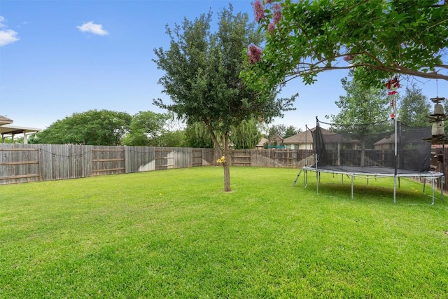1017 Sussex Way, Round Rock, TX 78665 - view of yard with a trampoline