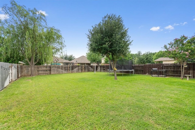 1017 Sussex Way, Round Rock, TX 78665 - view of yard featuring a trampoline