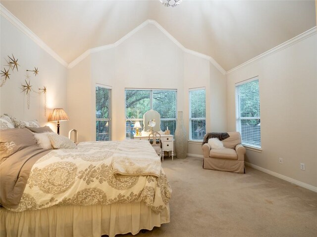 2214 Yellow Bird Trl, Austin, TX 78734 - carpeted bedroom featuring crown molding and high vaulted ceiling