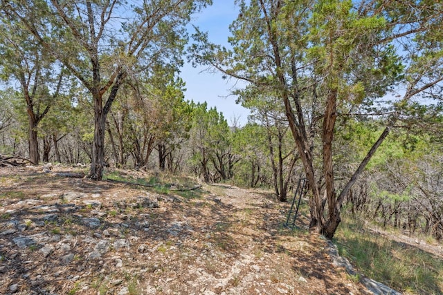 525 Soda Creek Rd, Spicewood, TX 78669 - photo 19