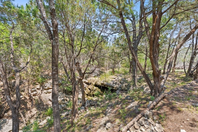 525 Soda Creek Rd, Spicewood, TX 78669 - photo 23