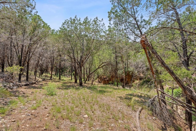 525 Soda Creek Rd, Spicewood, TX 78669 - photo 26