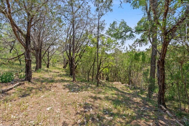 525 Soda Creek Rd, Spicewood, TX 78669 - photo 25
