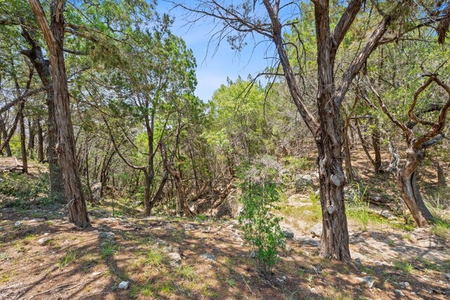525 Soda Creek Rd, Spicewood, TX 78669 - photo 24