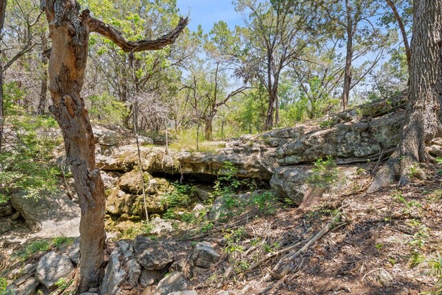 525 Soda Creek Rd, Spicewood, TX 78669 - photo 3