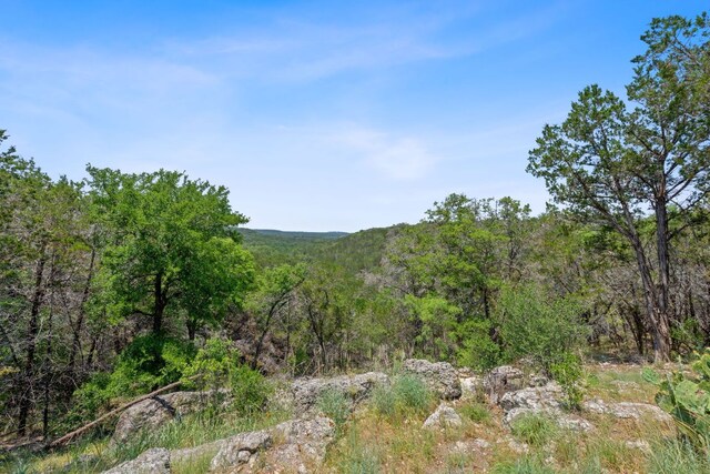 525 Soda Creek Rd, Spicewood, TX 78669 - photo 7