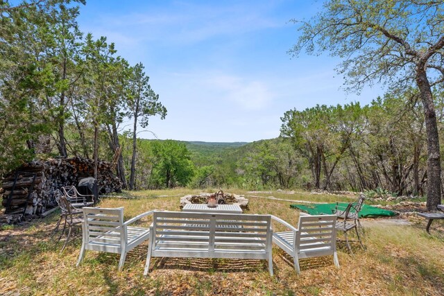 525 Soda Creek Rd, Spicewood, TX 78669 - photo 6
