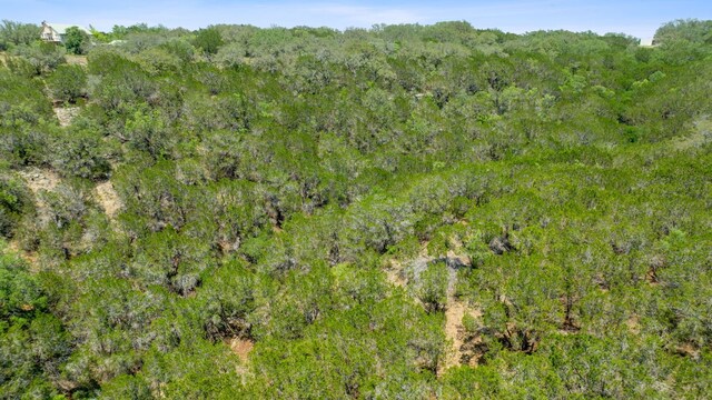 525 Soda Creek Rd, Spicewood, TX 78669 - photo 9