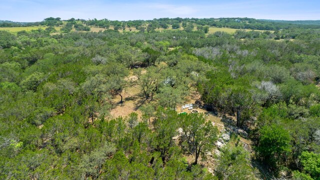 525 Soda Creek Rd, Spicewood, TX 78669 - photo 10