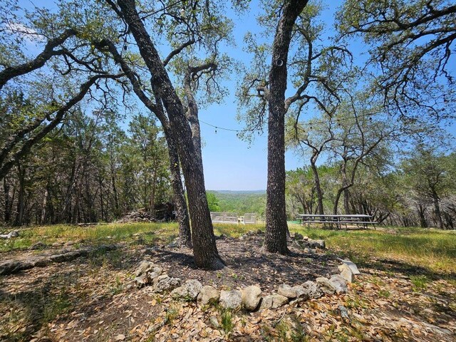 525 Soda Creek Rd, Spicewood, TX 78669 - photo 17