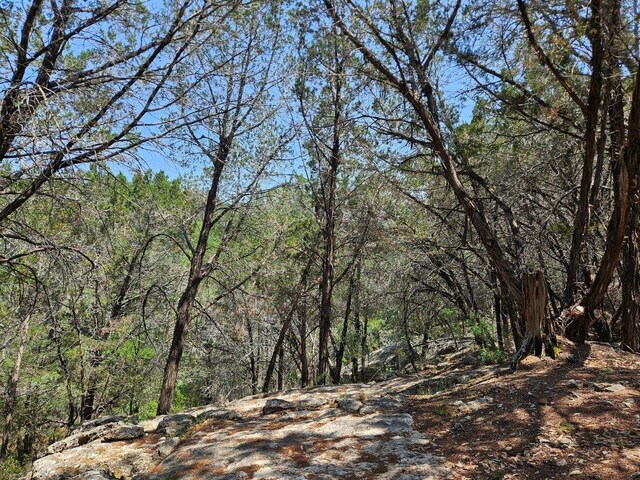525 Soda Creek Rd, Spicewood, TX 78669 - photo 20