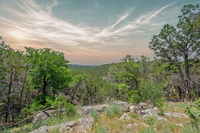 525 Soda Creek Rd, Spicewood, TX 78669 - photo 1