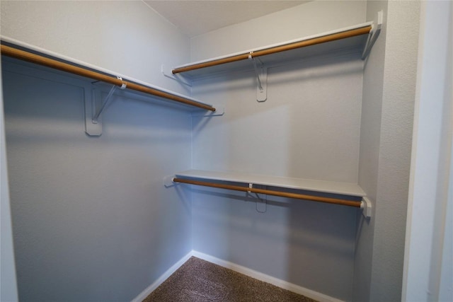 1118 Connemara Ln, Pflugerville, TX 78660 - walk in closet with carpet floors