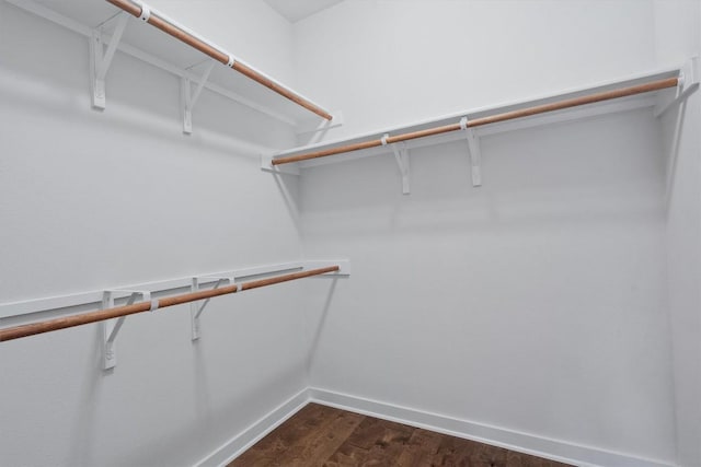 8940 Parker Ranch Cir Unit B, Austin, TX 78748 - walk in closet with dark wood finished floors