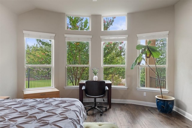 403 Baldovino Skwy, Austin, TX 78738 - bedroom featuring hardwood / wood-style floors, multiple windows, and vaulted ceiling