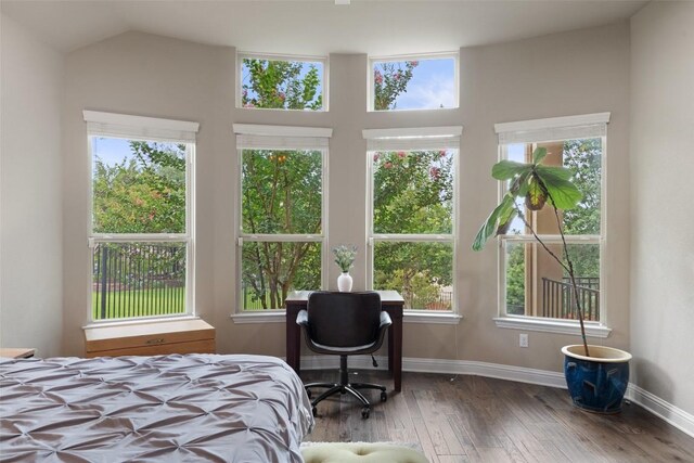 403 Baldovino Skwy, Austin, TX 78738 - bedroom with wood-type flooring, multiple windows, and lofted ceiling
