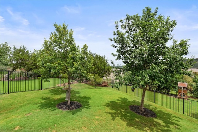 403 Baldovino Skwy, Austin, TX 78738 - view of fenced backyard