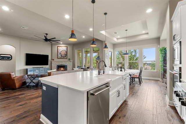 403 Baldovino Skwy, Austin, TX 78738 - kitchen featuring appliances with stainless steel finishes, dark wood-style flooring, a lit fireplace, a ceiling fan, and healthy amount of natural light