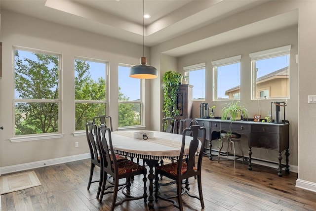 403 Baldovino Skwy, Austin, TX 78738 - dining space with a raised ceiling, hardwood / wood-style floors, and recessed lighting