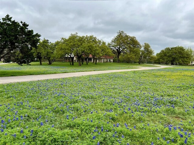 515 Post Oak Dr, Dripping Springs, TX 78620 - photo 3