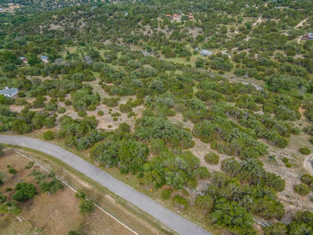 441 Lost Valley Rd, Dripping Springs, TX 78620