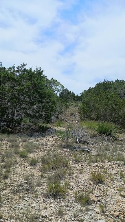 441 Lost Valley Rd, Dripping Springs, TX 78620