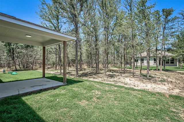 136 E Pauwela Ln, Bastrop, TX 78602 - photo 36