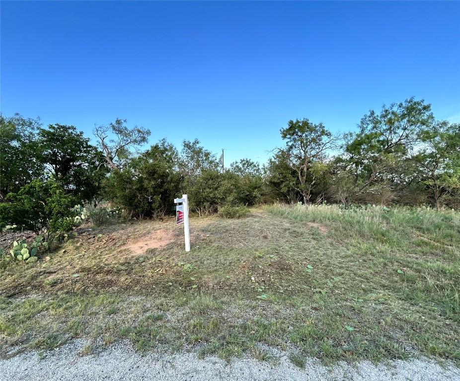TBD Cactus Trail, Kingsland, TX 78639