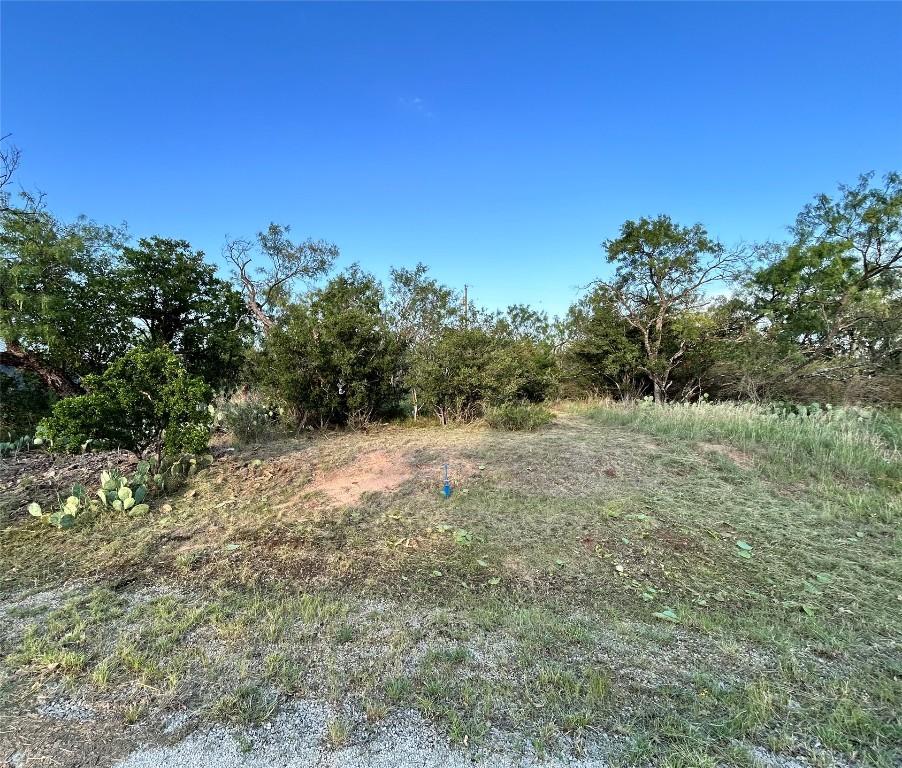TBD Cactus Trail, Kingsland, TX 78639