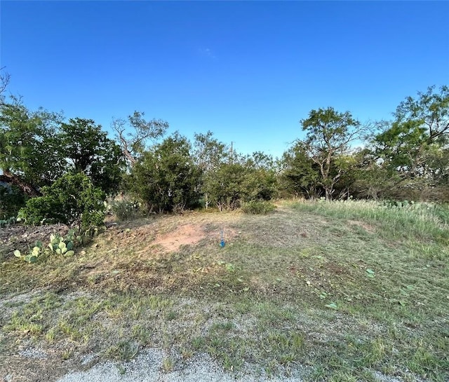 TBD Cactus Trail, Kingsland, TX 78639