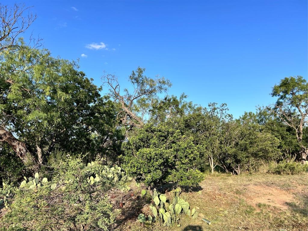 TBD Cactus Trail, Kingsland, TX 78639