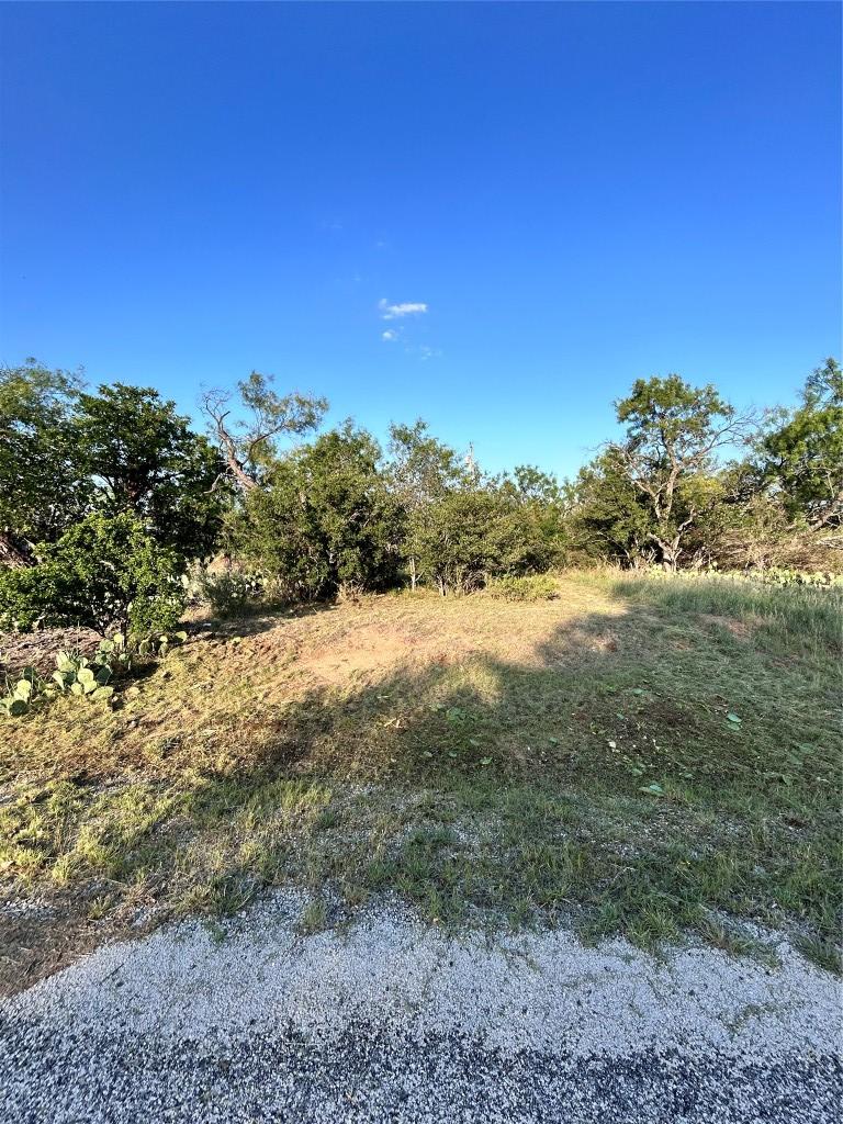 TBD Cactus Trail, Kingsland, TX 78639