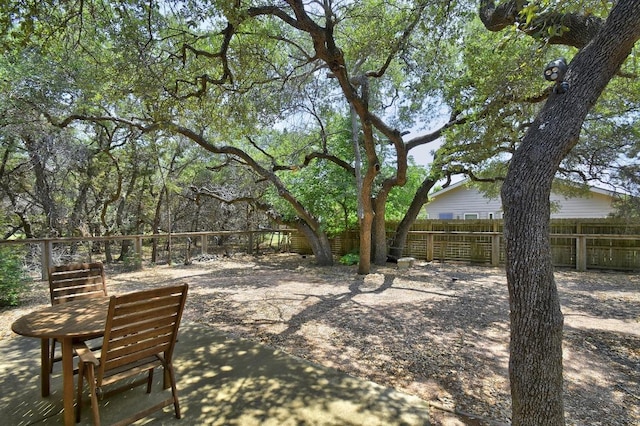 9912 Little Creek Cir, Dripping Springs, TX 78620 - fenced backyard featuring a patio