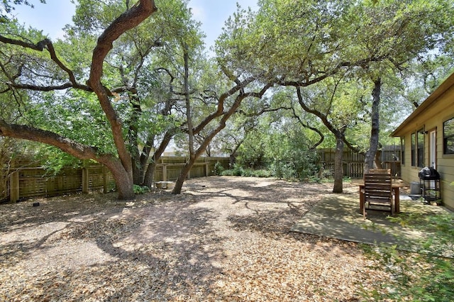 9912 Little Creek Cir, Dripping Springs, TX 78620 - fenced backyard with a patio area