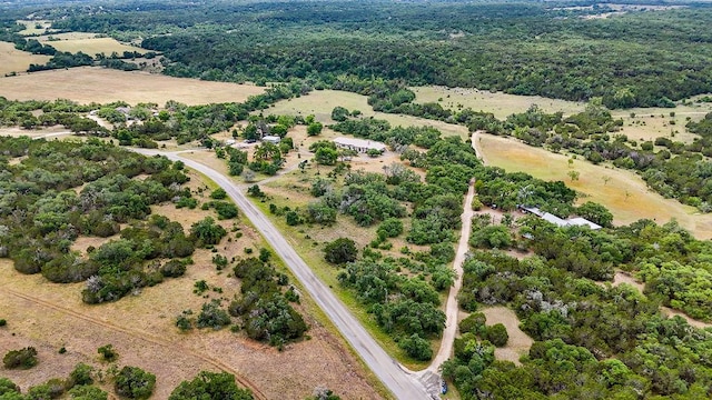 1441 Gatlin Creek Rd, Dripping Springs, TX 78620 - photo 35