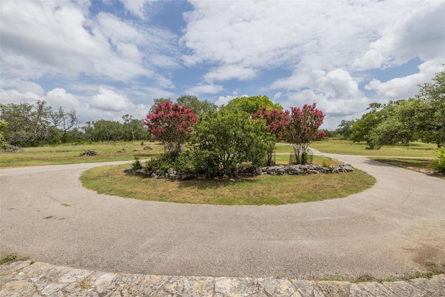 1441 Gatlin Creek Rd, Dripping Springs, TX 78620 - photo 3