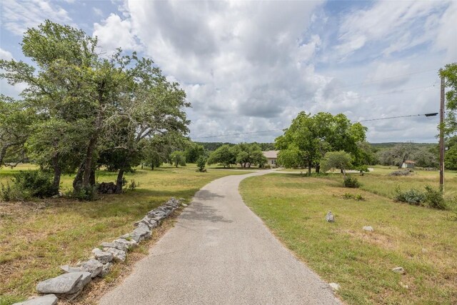 1441 Gatlin Creek Rd, Dripping Springs, TX 78620 - photo 4