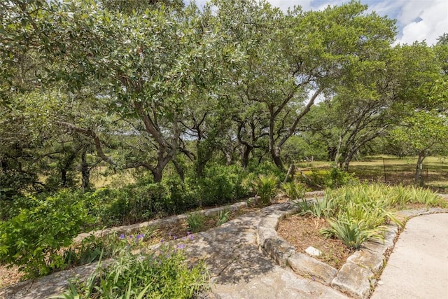 1441 Gatlin Creek Rd, Dripping Springs, TX 78620 - photo 6