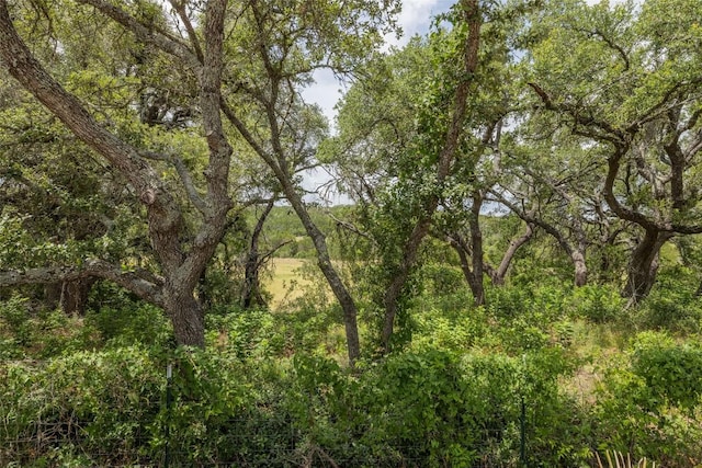 1441 Gatlin Creek Rd, Dripping Springs, TX 78620 - photo 7