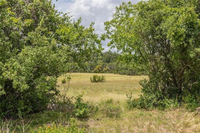 1441 Gatlin Creek Rd, Dripping Springs, TX 78620 - photo 9