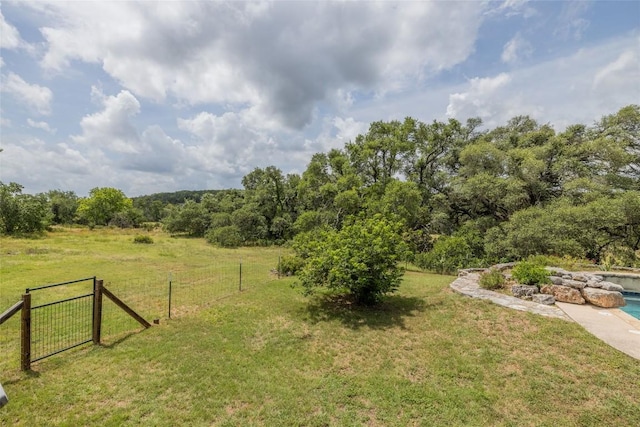 1441 Gatlin Creek Rd, Dripping Springs, TX 78620 - photo 11