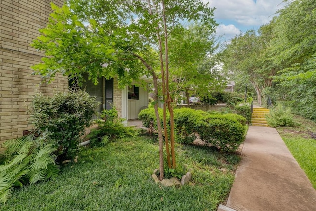 7400 Ophelia Dr, Austin, TX 78752 - view of yard
