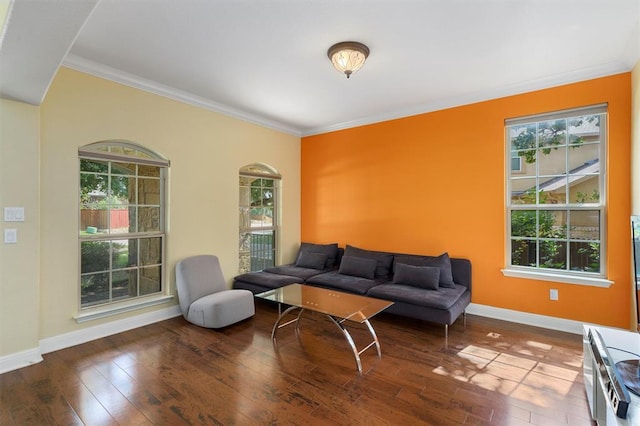 3904 Avery Woods Ln, Cedar Park, TX 78613 - living room featuring healthy amount of natural light, baseboards, wood-type flooring, and ornamental molding