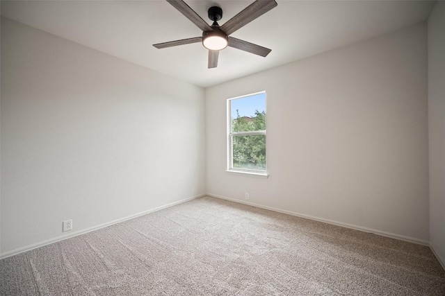 1306 Sunflower Ln, San Marcos, TX 78666 - photo 22
